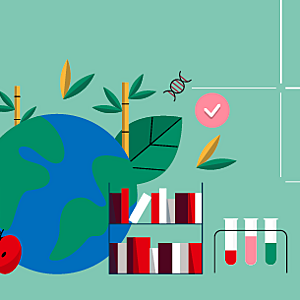 Building trust in conformity assessment of sustainability matters – good practices and the path forward