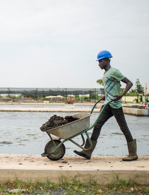 Worker transporting waste to the Omni Processor in a wheelbarrow.