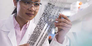 Female scientist examines a DNA profile in a laboratory.